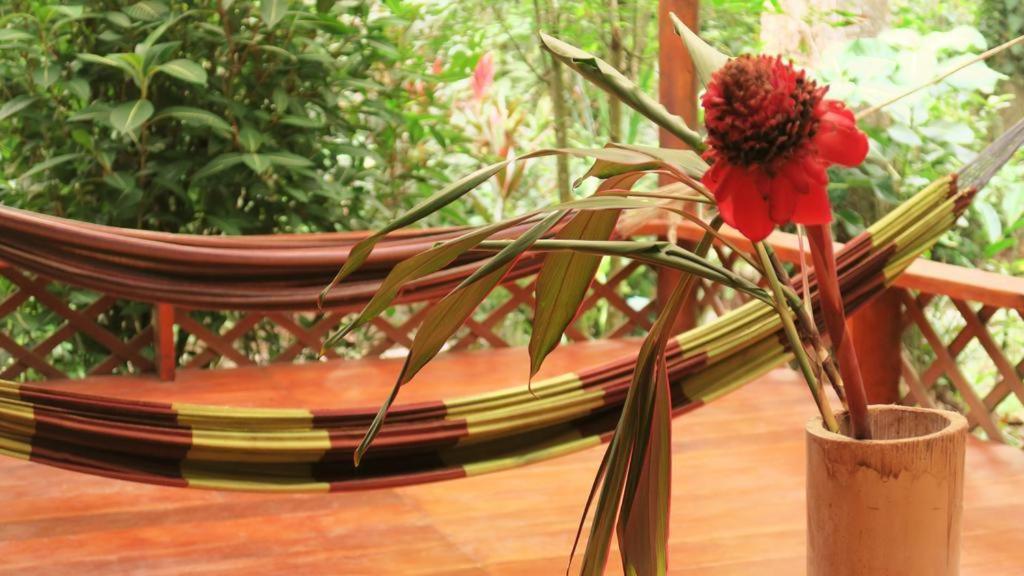 Casa Moabi Bed and Breakfast Cocles Buitenkant foto
